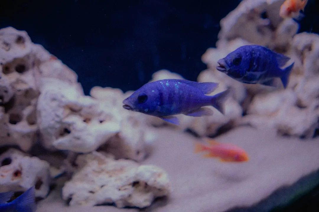 芜湖餐饮门头发光字选购指南：材质与亮度对比分析
